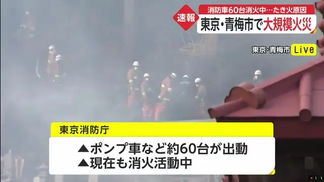 青梅市沢井2丁目の雲慶院や山林で大規模火災 60代男性が庭で焚き火をし強風で燃え移る