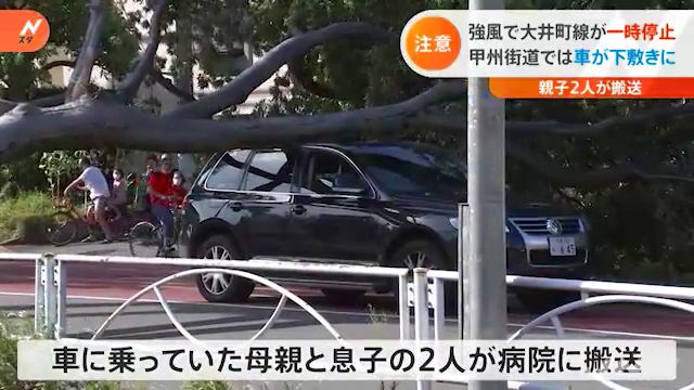 調布市富士見町2丁目 甲州街道「下石原」交差点付近で信号待ちの車に倒木が直撃 Twitterに現地の様子