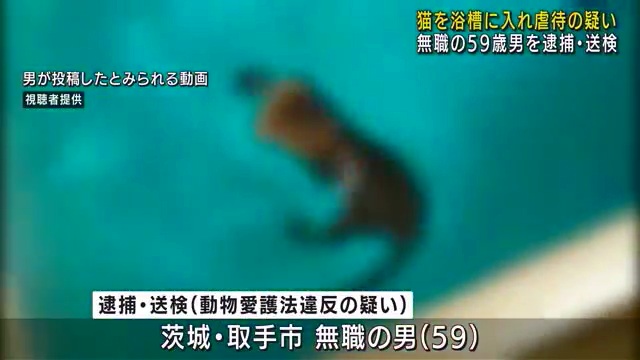 細野雅俊容疑者を動物愛護法違反で逮捕 子猫を浴槽に入れて無理やり泳がせる 細野雅俊のインスタ特定