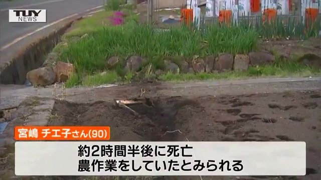 尾花沢市上柳渡戸の県道188号脇の畑にレンタカーが突っ込み農作業をしていた宮嶋チエ子さんを死亡させる