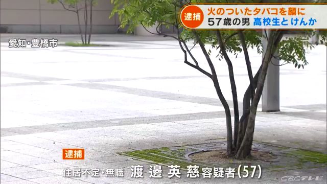 渡邊英慈を傷害で逮捕 豊橋駅前の路上で高校生5人と喧嘩をし顔に火のついたタバコを押しつける