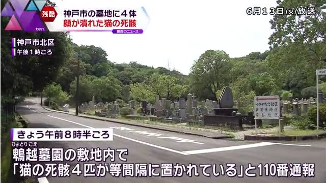 現場は神戸市北区山田町の「神戸市立鵯越墓園」の敷地内