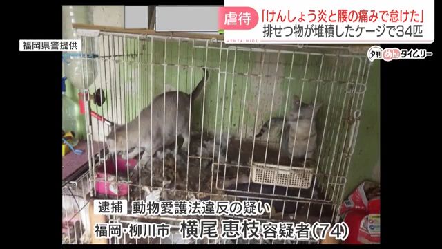 横尾恵枝を動物虐待で逮捕 久留米市上津町の自宅兼飼育施設「ユナホビーハウスα」で排せつ物堆積したケージで犬猫34匹を飼育 Facebook特定