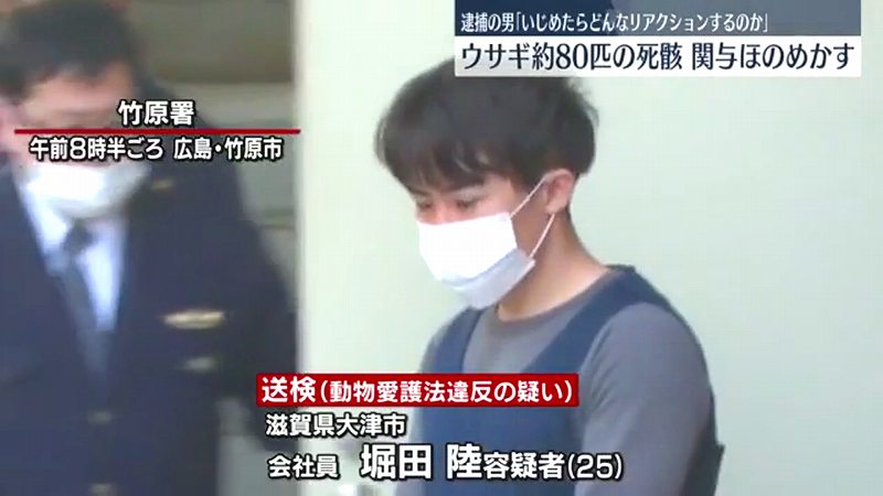 堀田陸を動物愛護法違反で逮捕 竹原市忠海町の大久野島(ウサギの島)でウサギを蹴って死なす 少なくとも77匹の死骸を確認