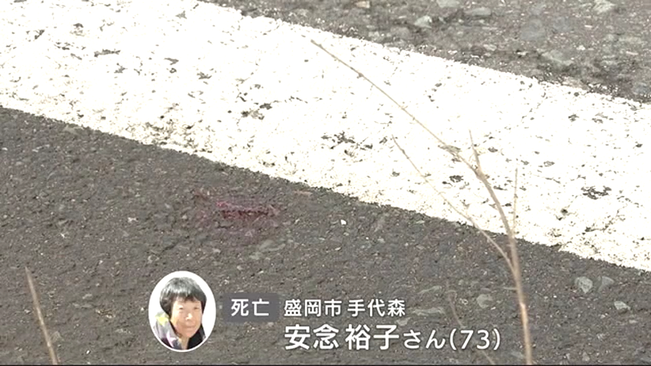 盛岡市手代森の国道396号で死亡ひき逃げ事件 近くに住む安念裕子さん頭の骨を折って死亡