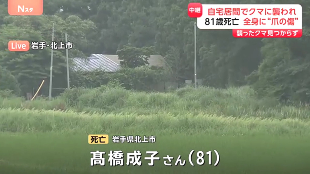 北上市和賀町山口の住宅で高橋成子さんがクマに襲われ死亡 付近では4日連続で侵入被害