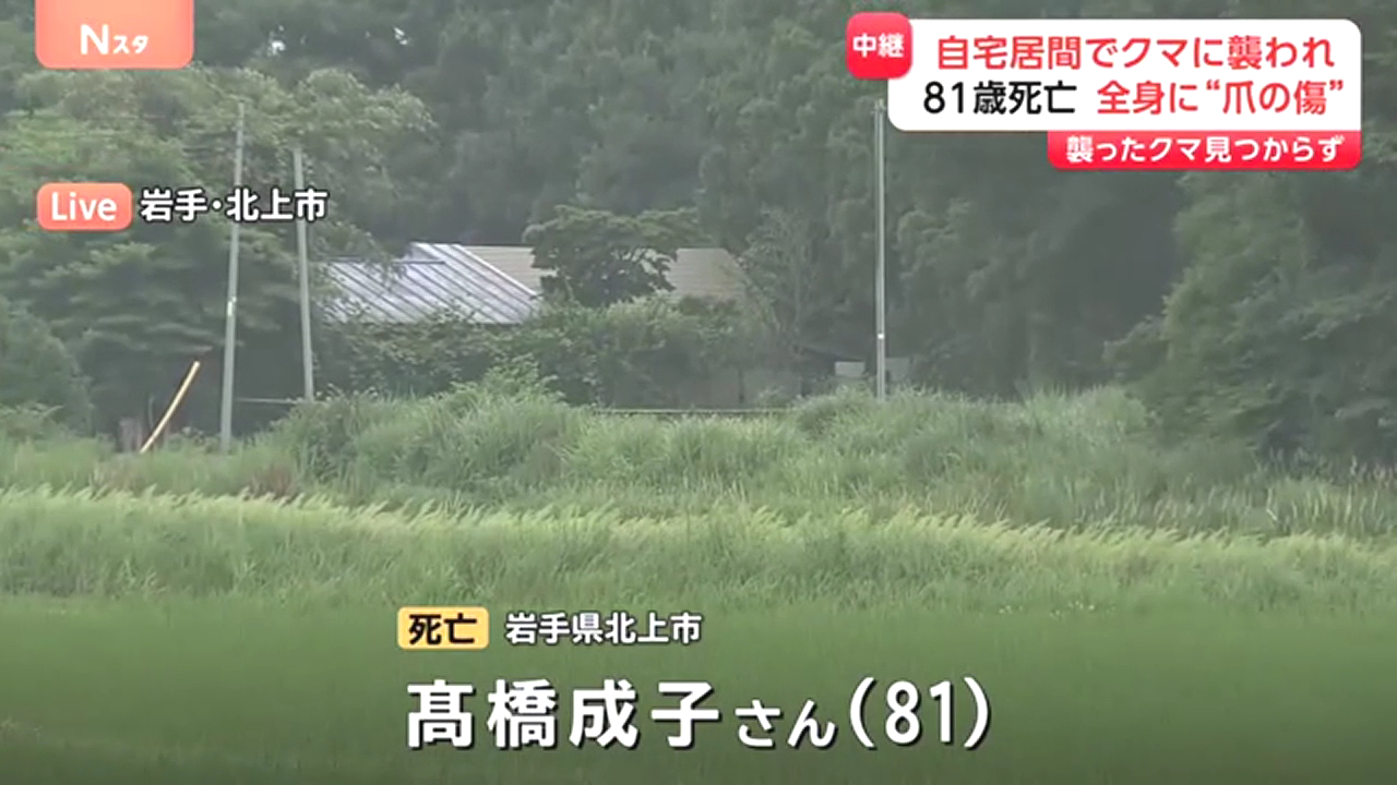 北上市和賀町山口の住宅で高橋成子さんがクマに襲われ死亡 付近では4日連続で侵入被害