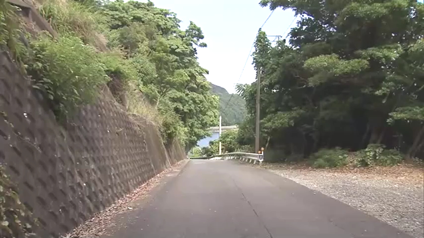 現場は熊野市甫母町の国道311号
