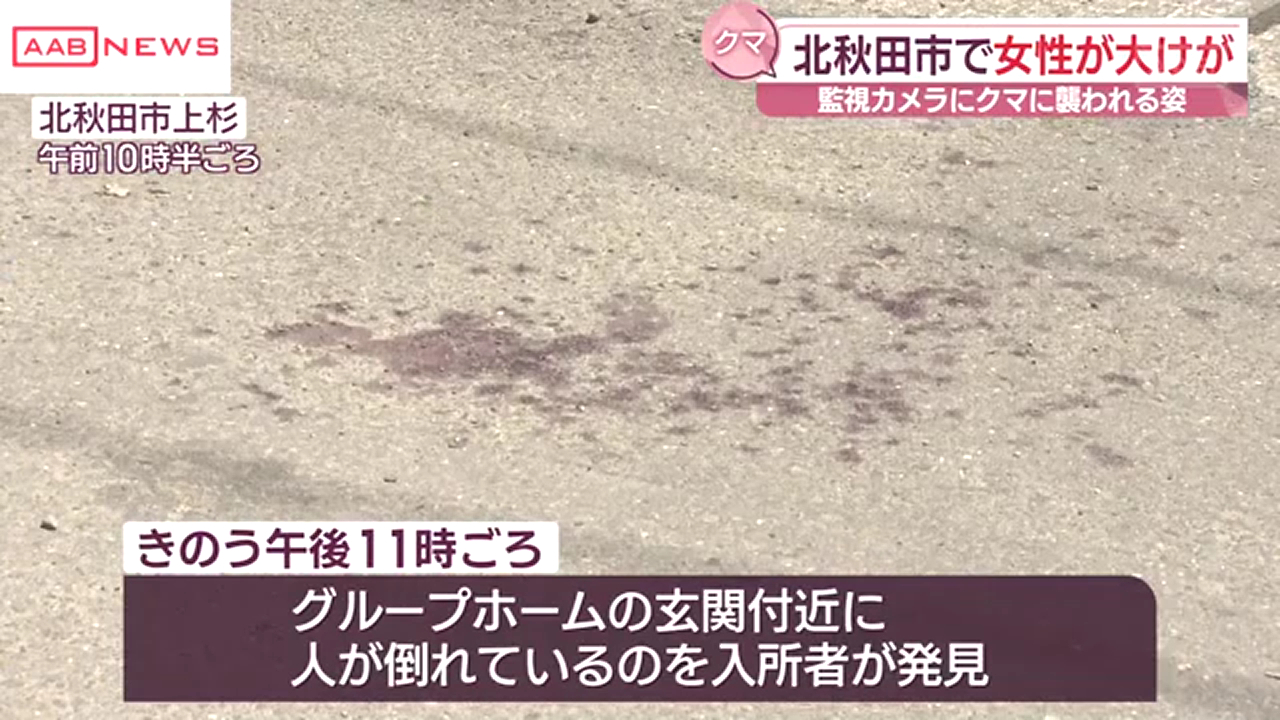 北秋田市上杉の障害者施設「グループホームつつじ」の敷地内で入所者の女性がクマに襲われ意識不明の重体