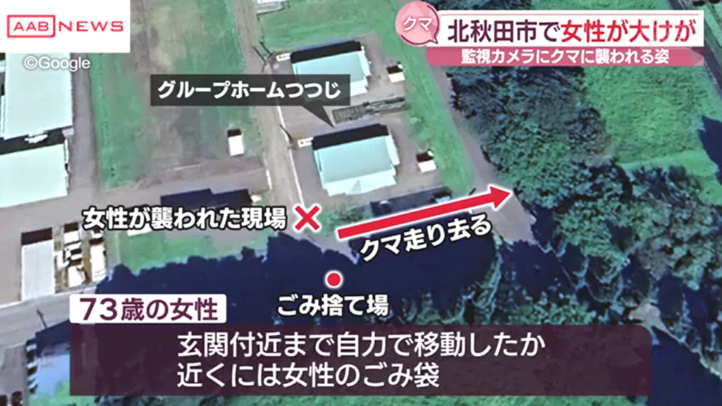 ゴミ捨て場に向かっていた女性にクマが体当たり