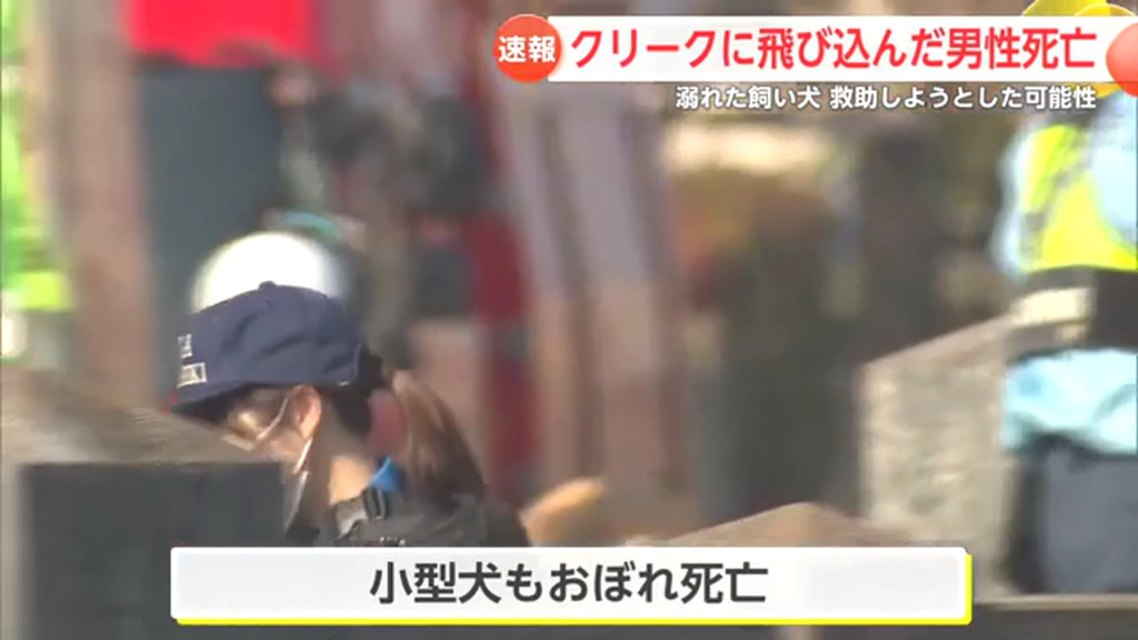 小型犬も溺れて死亡