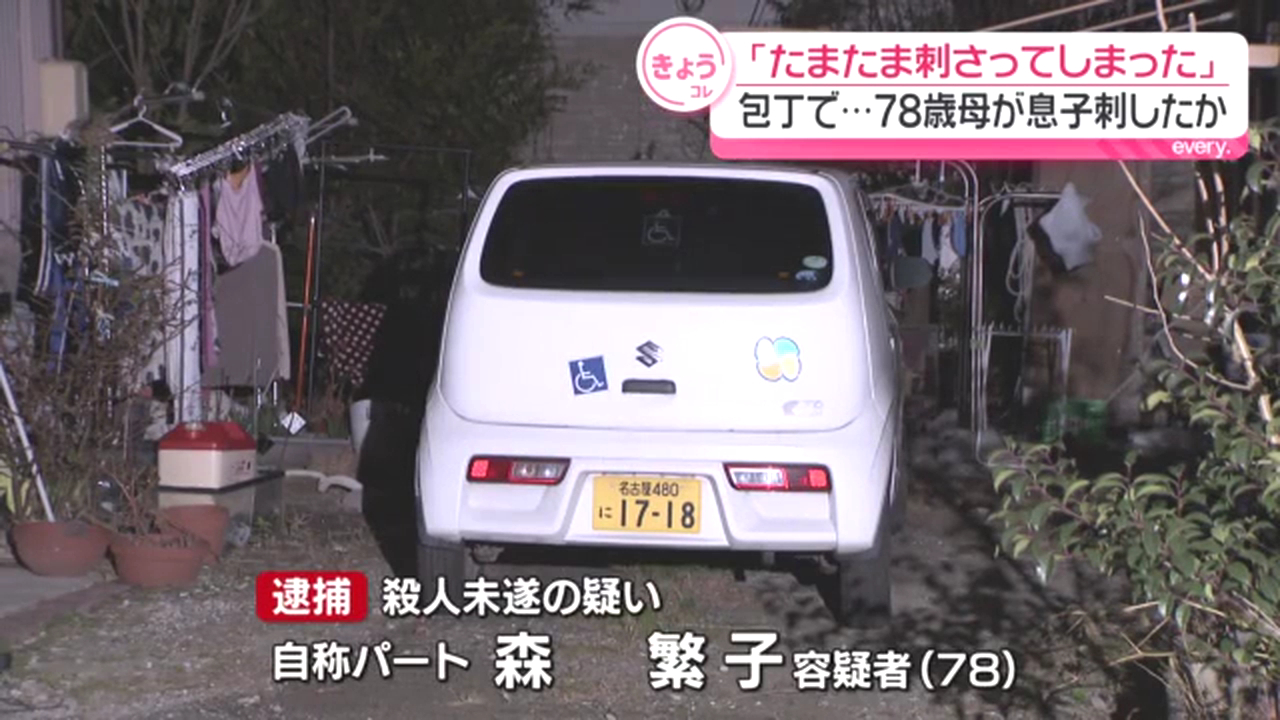 森繁子を殺人未遂で逮捕 半田市向山町の自宅で息子を包丁で刺す「たまたま刺さってしまった」
