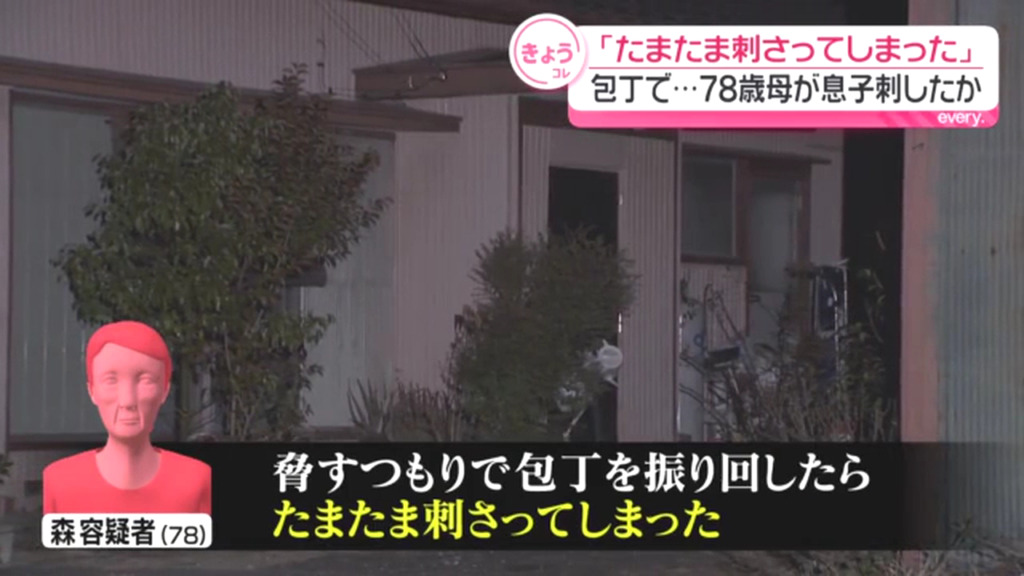 森繁子「たまたま刺さってしまった」