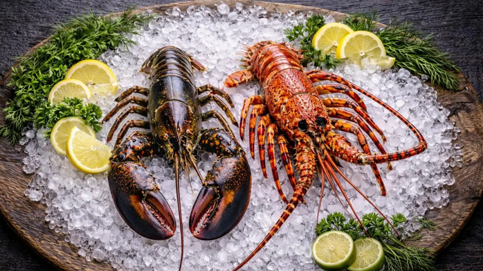 会社代表「外国産の伊勢海老という認識だった」