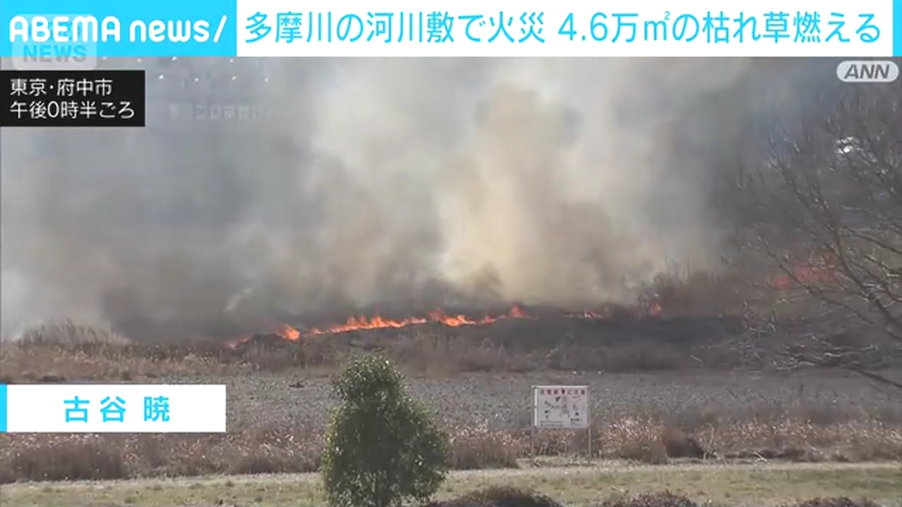 府中市小柳町6丁目の多摩川河川敷で火災 Twitter(X)に現地の様子 火をつけた高齢男性が怒られる