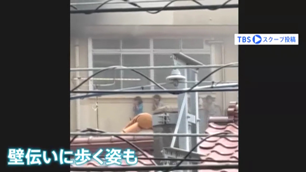 現場は東京都北区立滝野川第三小学校
