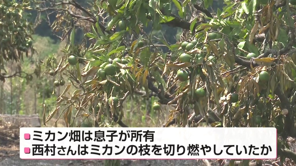 西村紀美代さんは剪定しながら枝を燃やしていた