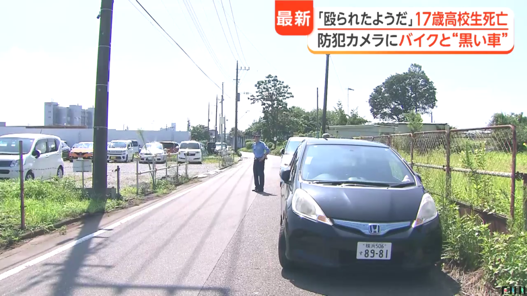 現場は相模原市中央区田名の道路沿いの草むら