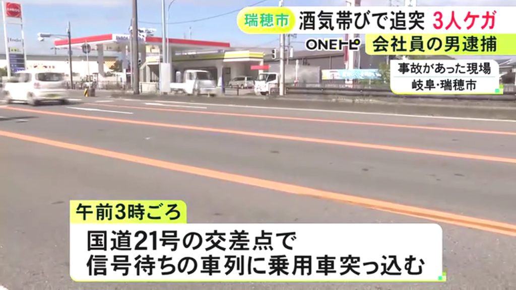 瑞穂市野田新田の国道21号