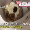 食べかけのXmasケーキを販売 別の店員が誤って…